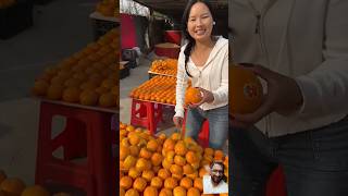 The Mystery of Persimmons in India india taiwan [upl. by Aihsiym]