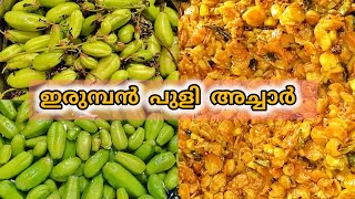 രുചികരമായ ഇരുമ്പൻ പുളി അച്ചാർ Tasty irumban puli acharBilimbi pickle [upl. by Cud]