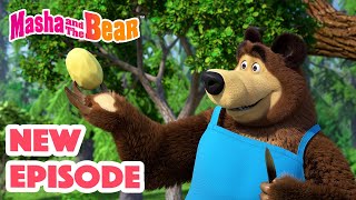 Masha and the Bear 2024 🎬 NEW EPISODE 🎬 Best cartoon collection 🥔 Soup Pursuit 🥕🍲 [upl. by Ragg]