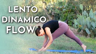 30 min YOGA Vinyasa  Lento Flusso Dinamico e Completo [upl. by Enaht172]