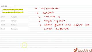 Coenocytic mycelium is characteristic feature of n [upl. by Ashling]