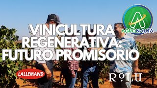 🎙️ Detrás de Rolu Los Propietarios de la Uva Impulsan la Vitivinicultura Regenerativa 🍇🌱 [upl. by Assetak]