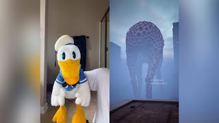 Donald Ducc SCARIEST TikToks 73 DO NOT BE SCARED CHALLENGE [upl. by Araminta]