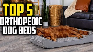 ✅Best Orthopedic Dog Beds in 2024 [upl. by Aundrea]