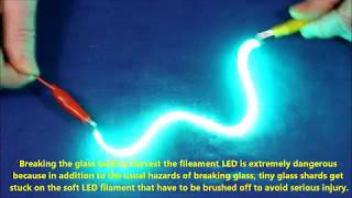 Flexible Filament LEDs [upl. by Ttik]