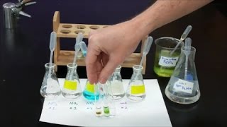 Qual Lab  Nitrate Test [upl. by Aspa]