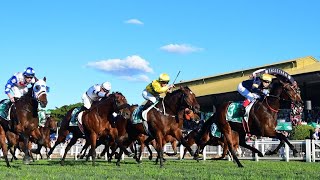 STRADBROKE HANDICAP 2021  TOFANE [upl. by Ailliw]