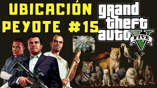 Ubicaciones de Peyote en GTA V 15 Modo Historia [upl. by Llevra84]