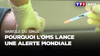 Variole du singe  pourquoi lOMS lance une alerte mondiale [upl. by Alejoa]