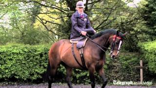 Meet the Queens horse a star of the Diamond Jubilee Pageant [upl. by Ashatan277]