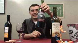 Wines From Ribera Del Duero In Spain  Episode 373 [upl. by Porter]