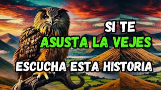 El Búho Que Enseña El Verdadero Significado De La Vejez  Nimbo el Búho Anciano [upl. by Afaw]