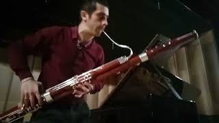 Test bassoon sound 2 Moosmann 150E [upl. by Aicila]