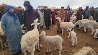 🇲🇦🇲🇦🔥💦🌧خيرات موجودة في سوق الاسبوعي الاتنين ابن احمد نقدم لكم أتمنة نعجة 🐑تاريخ تصوير 2622024 [upl. by Larentia]