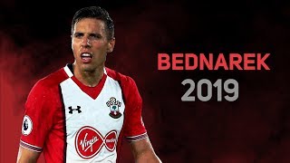 Jan Bednarek 2019  Defensive Skills in Southampton  HD [upl. by Acinomahs]