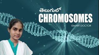 Chromosomes in Telugu  Gene and Allele in Telugu  Cell Biology [upl. by Alaek222]