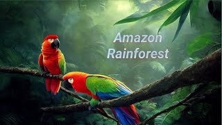 Amazon rainforest video  Amazon rainforest documentary [upl. by Hershell]