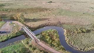 Redwater Bridge An early morning flight [upl. by Dusen]