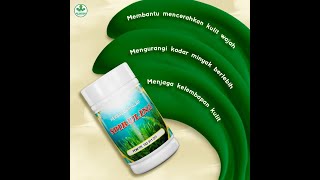 Spirulina Denature Indonesia  solusi menghilangkan jerawat dan mempercantik wajah [upl. by Galatea]