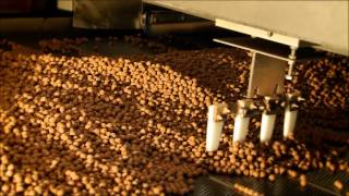 From the field to your breakfast bowl how extruded cereals are made [upl. by Eniak]