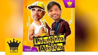 Polentinha do Arrocha  Músicas Novas Verão 2019  CD Completo Tops da Arrochadeira [upl. by Arluene806]