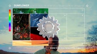 Briston Maroney  Sunflower The Visual Album [upl. by Walston]