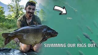 CARP FISHING IN THE MOUNTAINS  Escaping London 5 [upl. by Ziagos307]