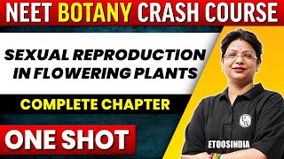 SEXUAL REPRODUCTION IN FLOWERING PLANTS in 1 Shot  All Concepts Tricks amp PYQs Covered  NEET [upl. by Aland92]