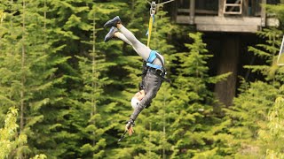 ZIPLINING IN WHISTLER CANADA BEAR TOUR ZIPTREK [upl. by Aubert937]