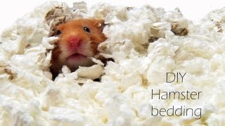 DIY Hamster bedding [upl. by Ytinirt822]