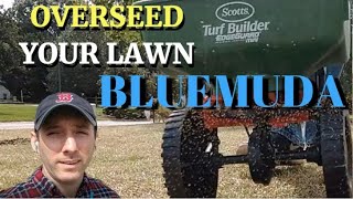 Bluemuda Lawn ProjectSeeding Day  Fall Overseeding  Lawn Projects [upl. by Kevina8]