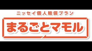 「ニッセイ個人賠償プラン『まるごとマモル』」のご案内（２０２１年７月以降始期） [upl. by Gnoy]