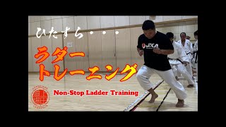 ひたすらラダートレーニング JKA NonStop Ladder Training UedaDojoTraining [upl. by Blair]