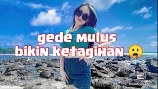 Kumpulan tik tok falenfinola gunung gede part 1 [upl. by Akerue650]