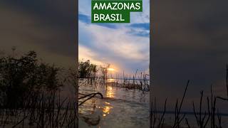 LAGO TEFÉ  AMAZONAS travel amazonia amazonas viagem 2 de agosto de 2024 [upl. by Modestia]