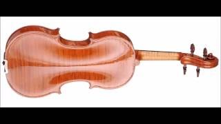 Gonzalo Bayolo  Finalist  13th Wieniawski Violin Making Comp  binaural recording  chamber hall [upl. by Llertac]