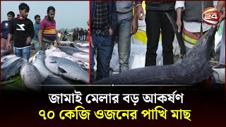 গাজীপুরে আড়াইশো বছরের ঐতিহ্যবাহী জামাই মেলা  Gazipur  Jamai Mela  Channel 24 [upl. by Elwina]