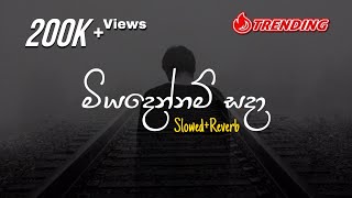 Miyadennam Sada  මියදෙන්නම් සදා SlowedReverb [upl. by Enirhtac576]