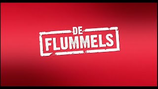 DE FLUMMELS 2020 Streaming HDRip Dutch [upl. by Ellehcan574]