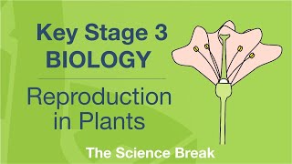 Key Stage 3 Science Biology  Reproduction in Plants [upl. by Seuqcaj998]