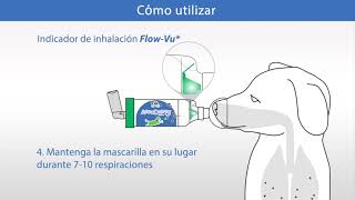 Cómo utilizar la cámara AeroDawg  español [upl. by Halbeib]