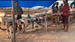 PORTO DOS MILAGRES NA SECACALDEIRADA NO ALMOÇOMERCADO DE PEIXESSANTARÉMPARÁ [upl. by Aihseym406]