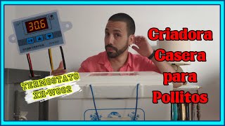 🛠️ Como HACER una criadora de pollos casera con termostato XHW3002 2020 [upl. by Amorette]