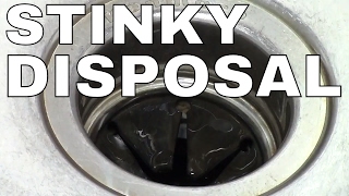 GARBAGE DISPOSAL HOW TO CLEAN  FAST Simple TRICK ICE [upl. by Severn]