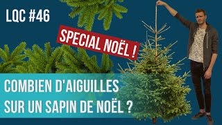 Combien daiguilles sur un sapin de Noël  LQC 46 [upl. by Studner]