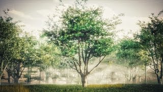 How to Create Realistic Trees  Blender Tutorial [upl. by Eziechiele]