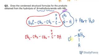 Hydrolysis of Amides [upl. by Bixby]