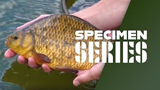 Float Fishing For Crucian Carp [upl. by Ydaj606]