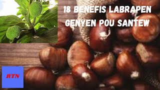 18 benefis labrapen genyen pou santew ann al gadé yo ansanm [upl. by Nehgaem847]