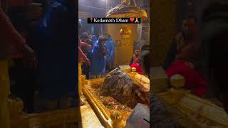 Kedarnath temple live darshan today [upl. by Hammel]